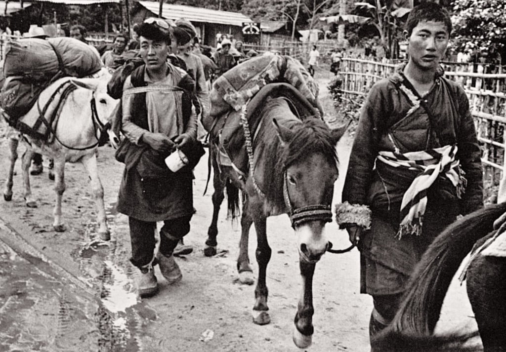 tibet refugee तिब्बती शरणार्थी 